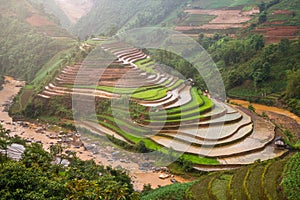 Terraced ricefield in water season at Mu Cang Chai , Vietnam