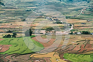 Terraced in Sapa, Vietnam