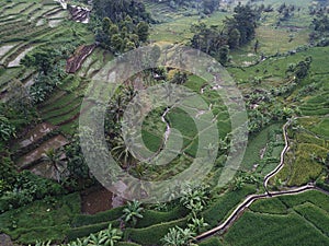 Terraced textured rice fields from above