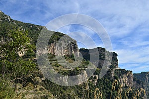 Terraced Vineyard Along the Amalfi Coast in Italy