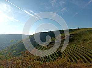Terraced vineyard near Wallhausen in autumn in Nahe-Region of rhineland-palatinate