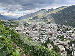 Terraced vineyards above Martigny in Valais Switzerland