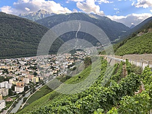 Terraced vineyards above Martigny in Valais Switzerland