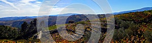 Terraced vineyards form the hillsides of Portugal`s Douro River valley