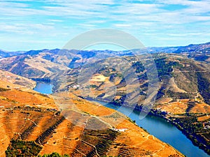 Terraced vineyards form the hillsides of Portugal`s Douro River valley