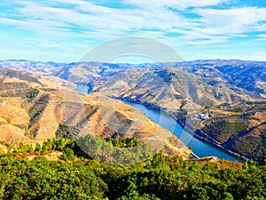 Terraced vineyards form the hillsides of Portugal`s Douro River valley