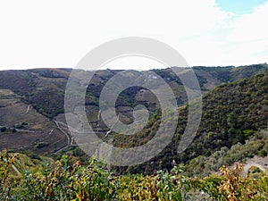 Terraced vineyards form the hillsides of Portugal`s Douro River valley