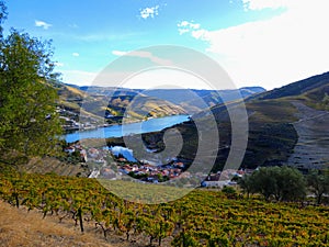 Terraced vineyards form the hillsides of Portugal`s Douro River valley