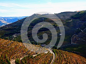 Terraced vineyards form the hillsides of Portugal`s Douro River valley