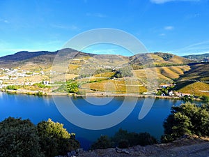 Terraced vineyards form the hillsides of Portugal`s Douro River valley