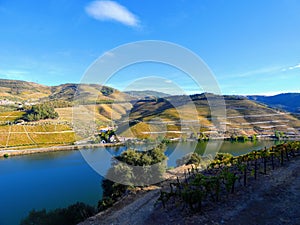 Terraced vineyards form the hillsides of Portugal`s Douro River valley