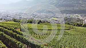 Terraced vineyards Switzerland