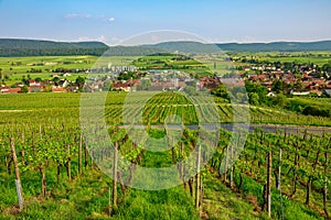 Terraced vineyards Switzerland