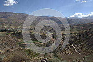 Terraces in Colca Canyon photo