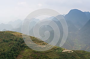 The terraces on the Van stone-plateau, Viet Nam