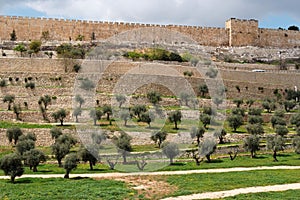 Terraces of the Kidron Valley and the the wall of