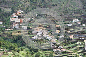 Terraces of La Gomera