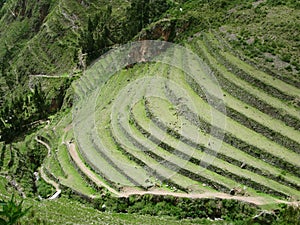 Terraces of Machu Picchu. Urubamba valley in Peru