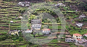 Terraces Madeira