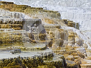 Terraces at Mommoth Hot Springs, Yellowstone