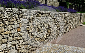 Terraces with stairs in a sloping park. stone retaining walls with light stone. blue lavender and pink roses with perennials grow