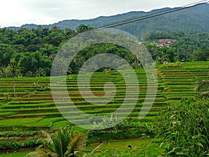 Terraces or swales are a conservation method by creating terraces to reduce the length of the slopes