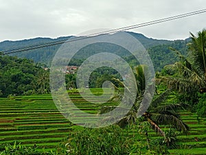 Terraces or swales are a conservation method by creating terraces to reduce the length of the slopes