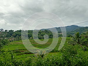 Terraces or swales are a conservation method by creating terraces to reduce the length of the slopes