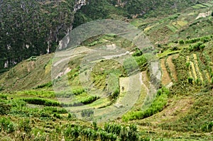 The terraces on the Van stone-plateau, Viet Nam
