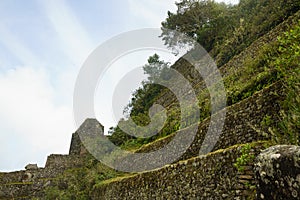 Terraces on Wayna  Picchu in ruins of Machu Picchu