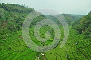The terracing technique is rice fields on sloping land which are made in layers and usually exist in the Indonesian highlands.