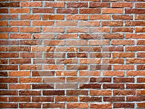 Terracotta Brick Wall background