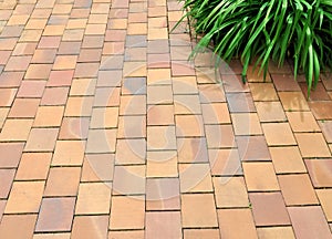 Terracotta floor