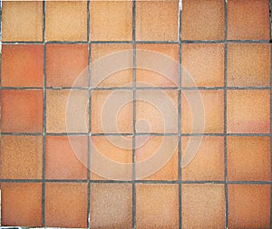 Terracotta floor tiles