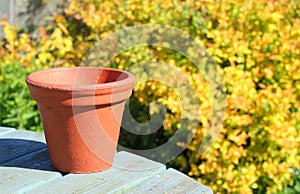 Terracotta flower pot.