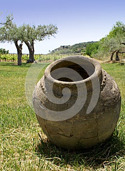 Terracotta jar photo