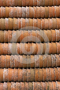 Terracotta plant pots