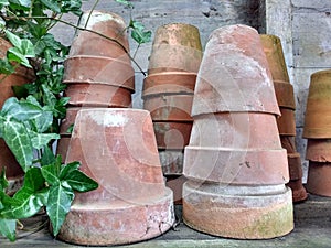 Terracotta plant pots