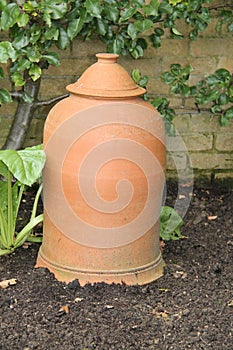 Terracotta Pot.