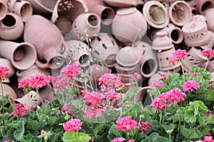 Terracotta pots