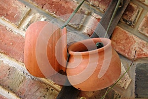 Terracotta pots