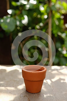 Terracotta pots in the garden