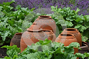 Terracotta Pots, Tintinhull Garden, Somerset, England, UK