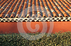 Terracotta roof tiles