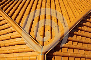 Terracotta tile roof