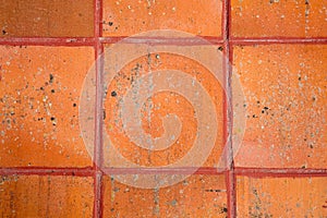 Terracotta Tiles