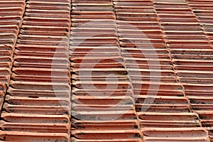 Terracotta tiling