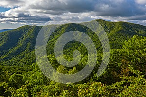 Terrapin Mountain, Blue Ridge Mountains, Virginia