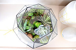 Terrarium