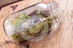 A terrarium bottle